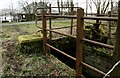 Culvert under the old railway line