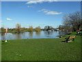 River Thames, Chertsey Mead