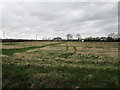 House in Metheringham Low Fields