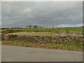 Pinfold off Slates Lane