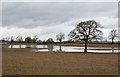 Wet field near Grafton Lodge