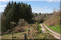 Track near Lower Elsford