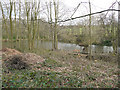 Blacker Dam fishing lake, Silkstone Common