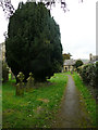 Path through the churchyard, Cawthorne