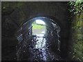 Fife Coastal Path passing under the railway