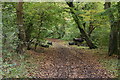 Footpath, Bois Wood