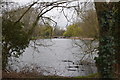 Lake at Rivenhall Place