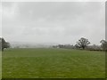 Grassland near Bedstone