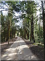 Road leading to and from Oare Gunpowder Works Country Park