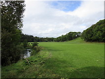 R6900 : Grassland and woodland by the River Awbeg at Kilcummer by Jonathan Thacker