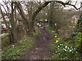 Bridleway southwards from Barnsley Road at Pot House Bridge, Silkstone