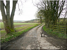 SE2905 : Footpath on driveway to Fall Head Farm, Silkstone by Humphrey Bolton
