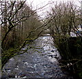 Upstream along the Rhondda River, Treorchy