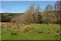 Path to Wray Brook