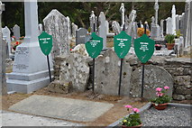 S7237 : Rebel Graves, St Mullins by N Chadwick