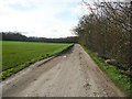 Driveway to Wymondley Wood Scout and Guide Camp