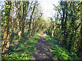 Path down A320 embankment