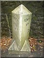 Old Milestone by the B3298, south east of Scorrier