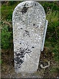 SW7251 : Old Milestone in Trevallas Coombe by Rosy Hanns