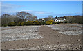 Ploughed and Harrowed Field