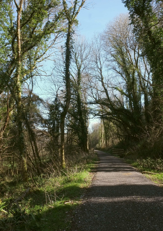 Wray Valley Trail in Higher Combe Wood © Derek Harper cc-by-sa/2.0 ...