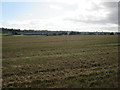 Over  stubble  field  near  Kaimknowe