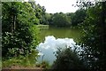 Pool beside the Stour Valley Walk