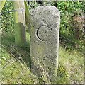 Old Boundary Marker close to the Old Man of Mow