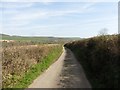 Lane to Hornshayne Farm