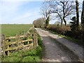 Track to Blackley Down Farm