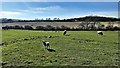 View west from Annington Road