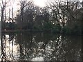 Reflected in the Canal