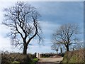 Sharp bend on the road to Ottery St Mary