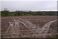 Muddy field