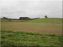 NT7032 : Arable  field  rising  from  the  Borders  Abbeys  Way by Martin Dawes
