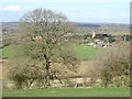 Farmland at Coddington