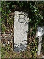 Old Boundary Stone north of Trenerry Toll House, Truro