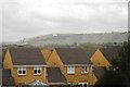 Rooftops of Westbury and White Horse