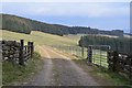 NT2731 : Hill pasture and plantations, Glen Estate by Jim Barton