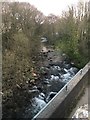 River Erme, Ivybridge