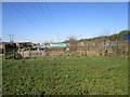 Buckingham Avenue allotments