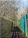 SO9095 : Footpath on Colton Hills near Wolverhampton by Roger  Kidd
