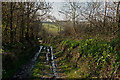 A lane with running water in Bickleton