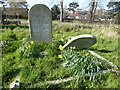 Infant mortality in the 19th century, Woolwich Old Cemetery