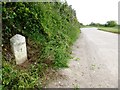 Old Milestone by the A3076 lay-by, north of Mitchell