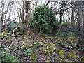 Remains of Lightmoor Furnaces