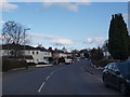 Looking along Orchard Park Avenue