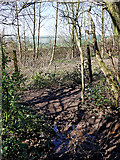 SO9095 : Footpaths near Colton Hills Community School in Wolverhampton by Roger  Kidd