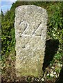 Old Boundary Marker