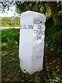 Old Milestone by the A3059, near Bosworgey